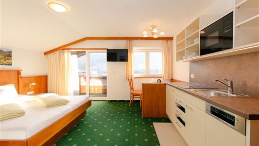 1-room apartment studio Lake view