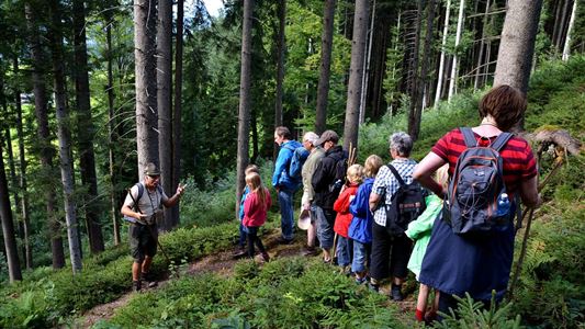 Familie auf der Pirsch