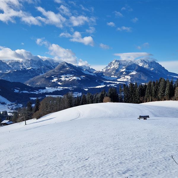 20241123_100508 (002)