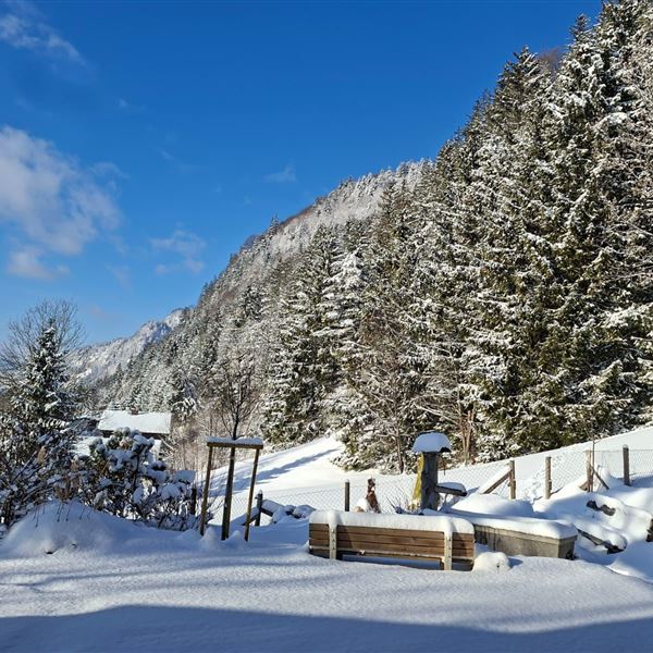Eine winterliche Gartenlandschaft mit schneebedeckten Bäumen und Bergen. Der klare Himmel strahlt in blau über der ruhigen Szene. Vor dem Haus finden Sie einen Hang, welcher schneebedeckt zum Rutschen einlädt. Rutschteller haben wir für sie einige vorbereitet