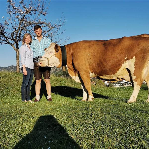 Anna und Hans mit 100 000 Liter Kuh Zirm