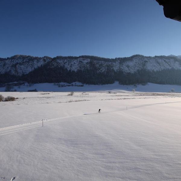 Ausblick im Winter