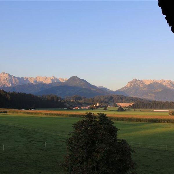 Ausblick Sommer Leindlhof auf Kaisergebirge