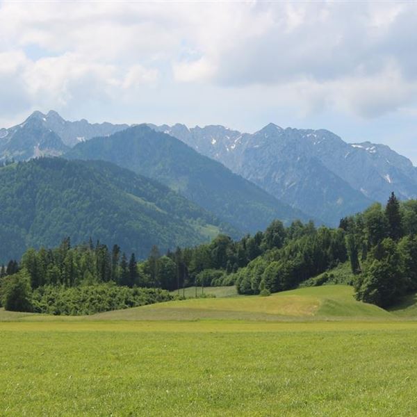 Ausblick zum zahmen  Kaiser