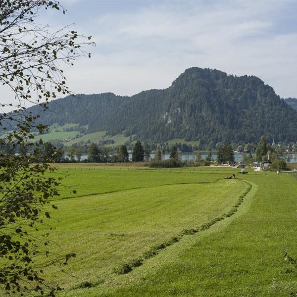 Aussicht auf den See vom GH Weissenbach