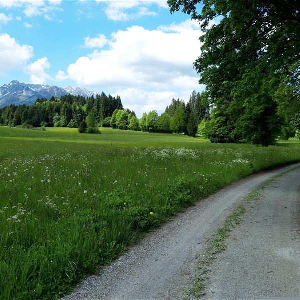 Aussicht auf den Zahmen Kaiser