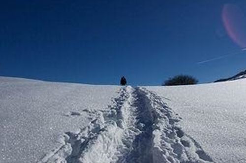 Bild_Schneeschuhtour_scale_800_700