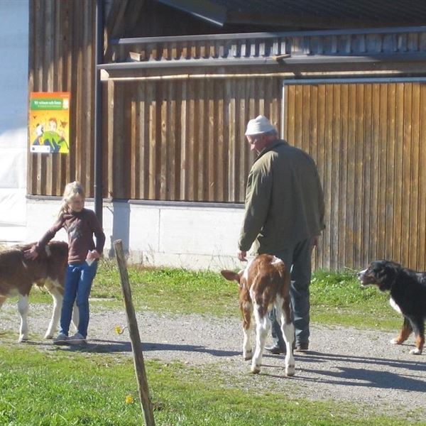 Bio-Bauernhof-Haslach-Koessen-Tiere