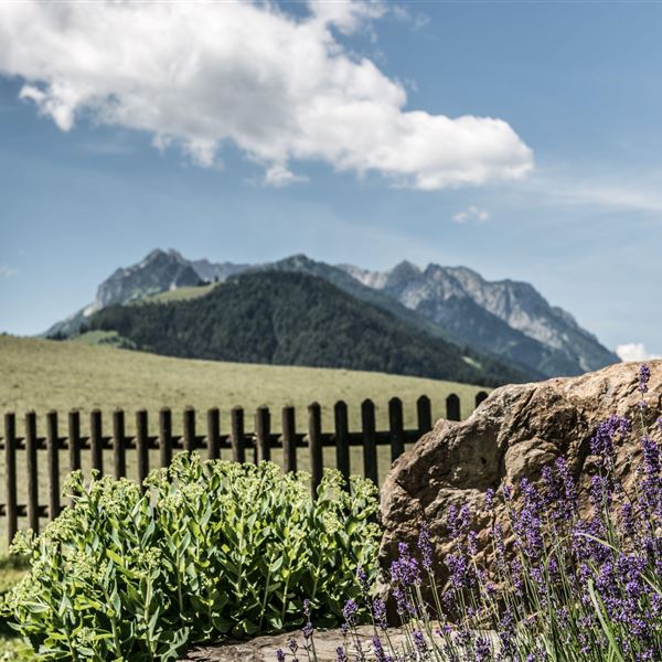 Blick auf das Kaisergebirge vom Garten