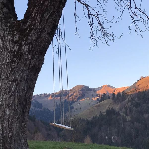 Blick auf die Alm