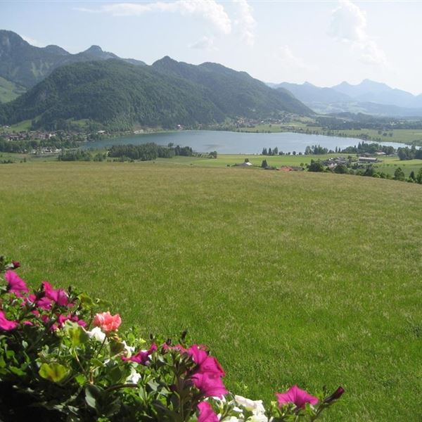 Blick auf Walchsee vom Balkon