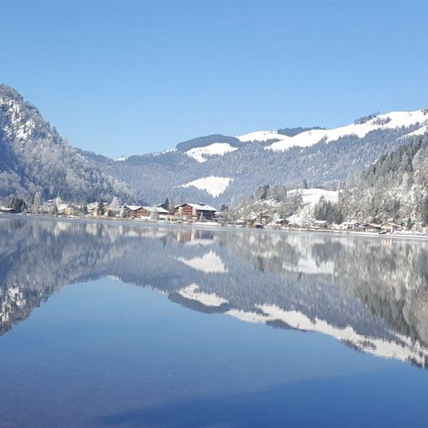 Blick über den Walchsee