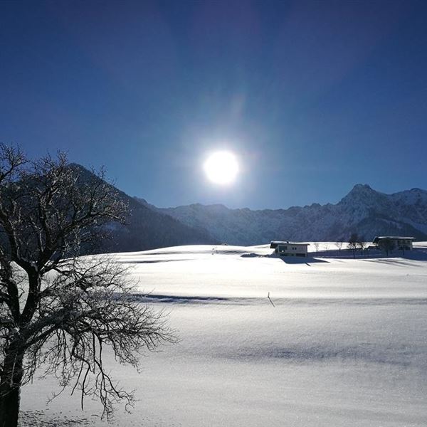 Blick vom Haus zum Kaisergebirge