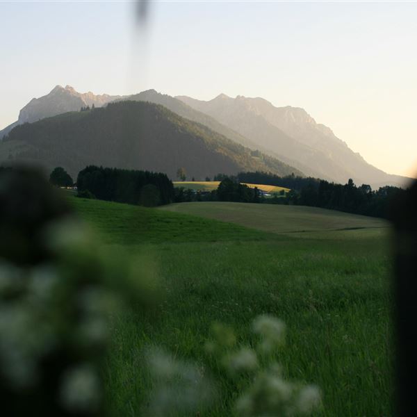 Der Kaisersommer im Alpenhotel Riedl