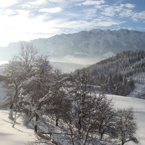 Die wunderbare Aussicht auf den Zahmen Kaiser