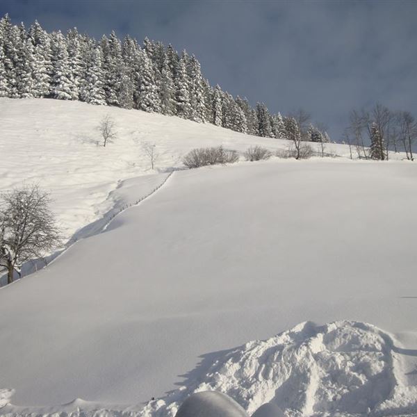 Ein wunderschöner Wintertag