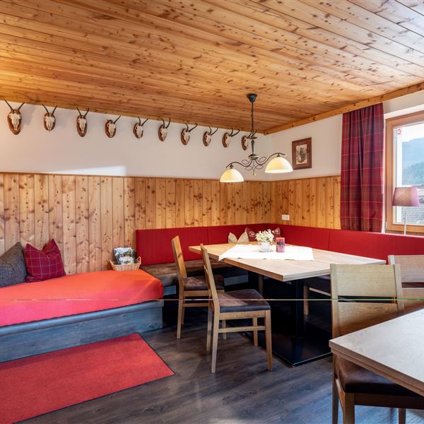 Eine große, gemütliche  und helle Bauernstube mit 2 großen Tischen und somit Platz für bis zu 20 Personen, einem Diwan (Liege mit richtiger Matratze), TV und DVD Player.