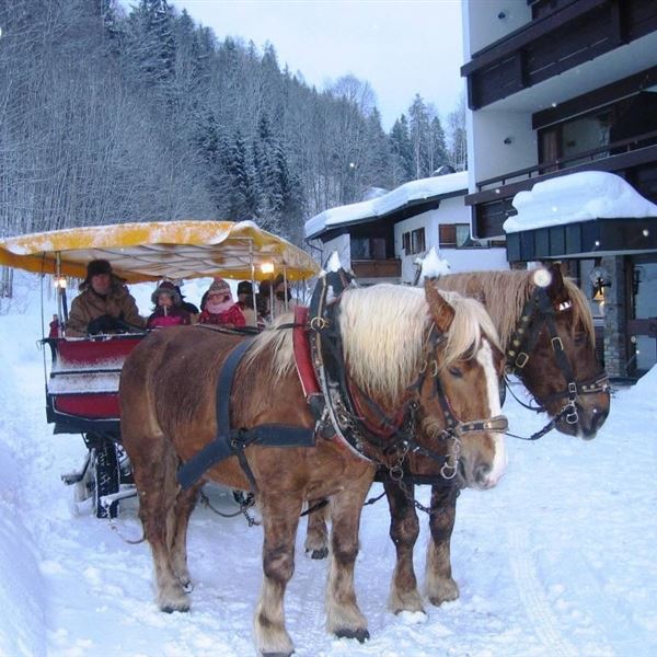 Gästehaus Rottenspacher Veranstaltungen