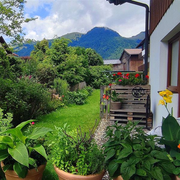 Garten in der Sommerzeit