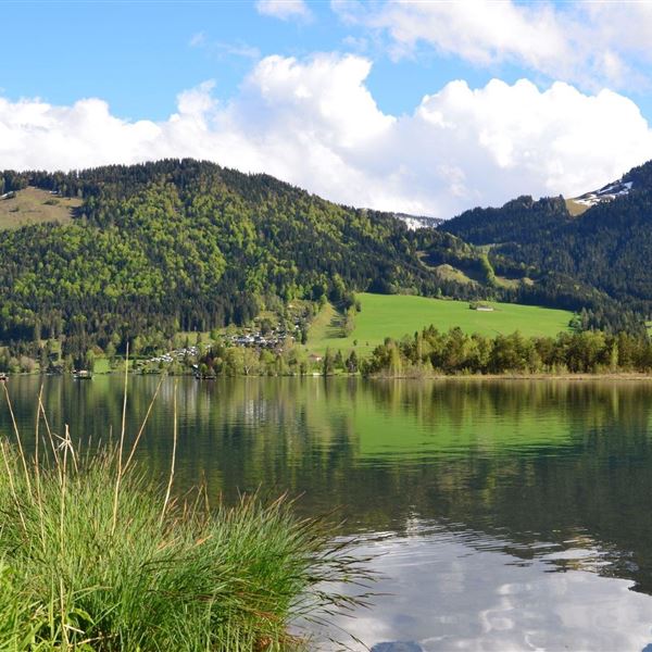 Gartenwohnung am Walchsee