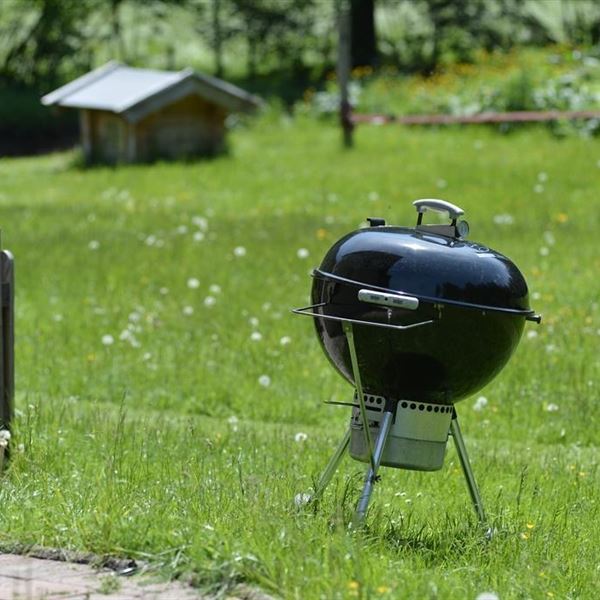 Grillen im Garten