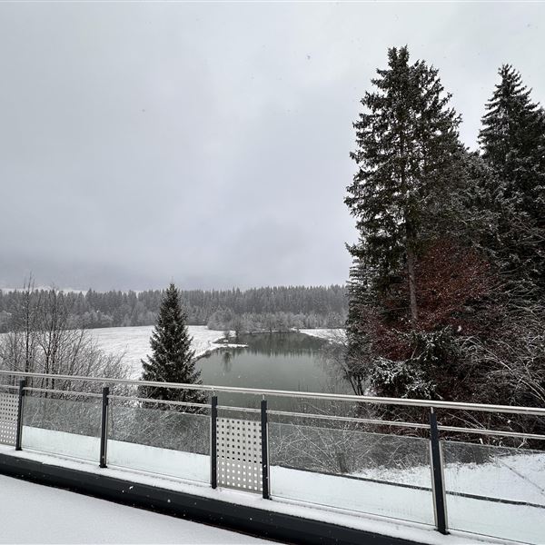 Ausblick im Winter zum Angelteich.