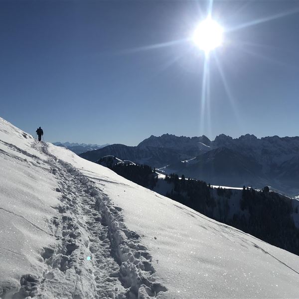 Blick auf den wilden Kaiser