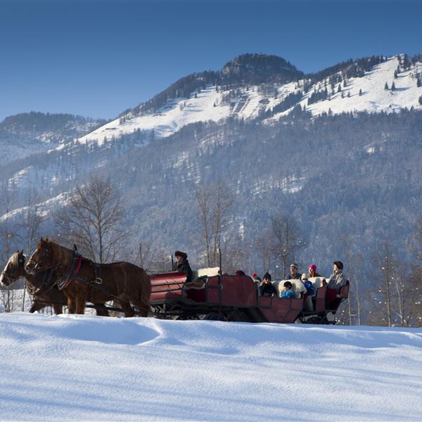 Kaiserwinkl_Schöne Aussicht_Kutchenfahrt