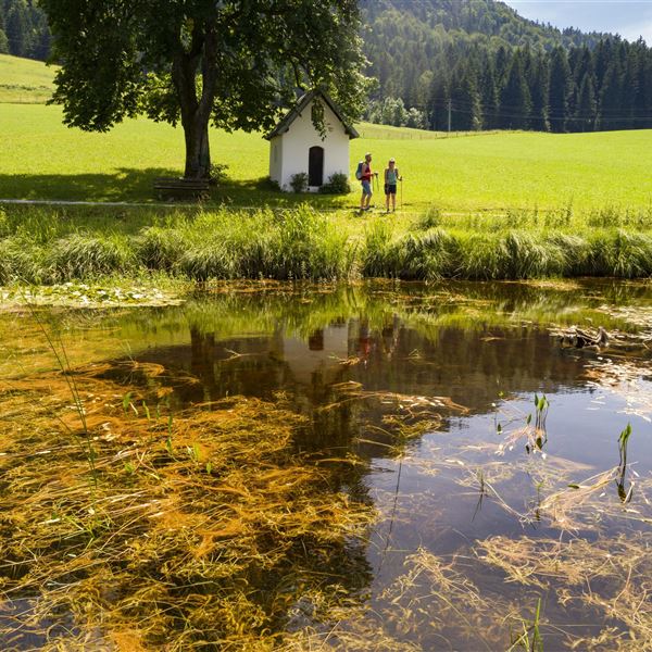 Kaiserwinkl_Sommerurlaub_MoorgebietSchwemm (3)