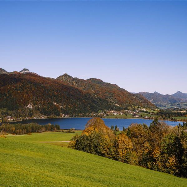 Kaiserwinkl-Urlaub-Landschaft-Walchsee-Herbst-Herb