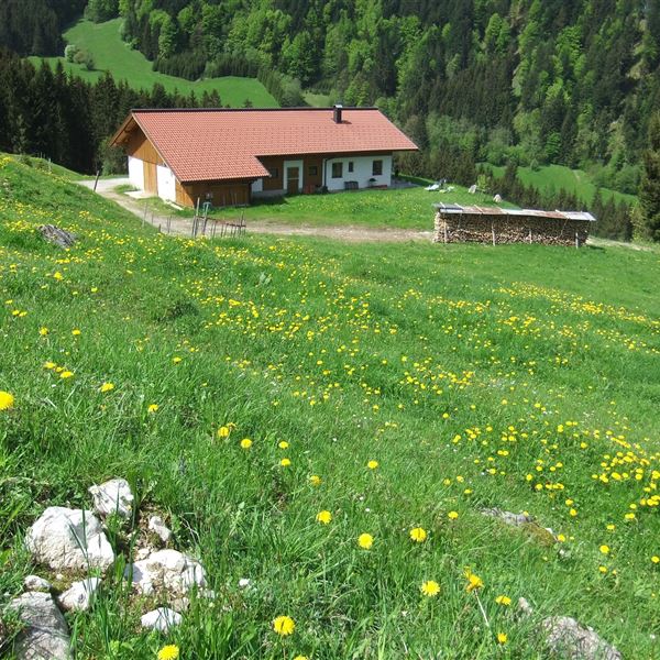 Kaiserwinkl, Walchsee, Goglalm 1