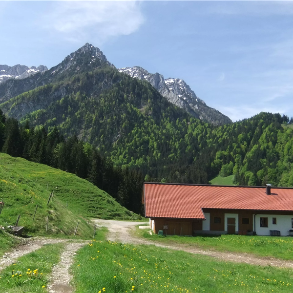 Kaiserwinkl, Walchsee, Goglalm 2