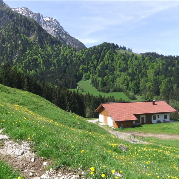 Kaiserwinkl, Walchsee, Goglalm 3