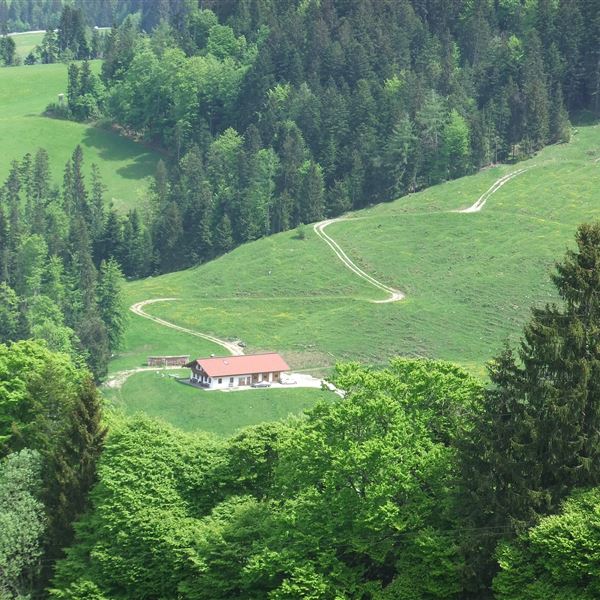 Kaiserwinkl, Walchsee, Goglalm 4