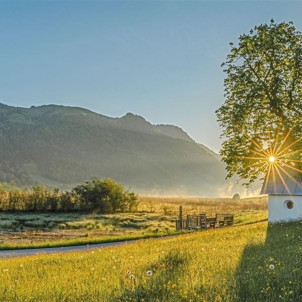 Landschaft Sommer
