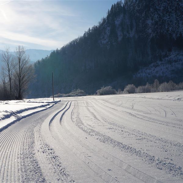 Loipe direkt vor der Haustüre