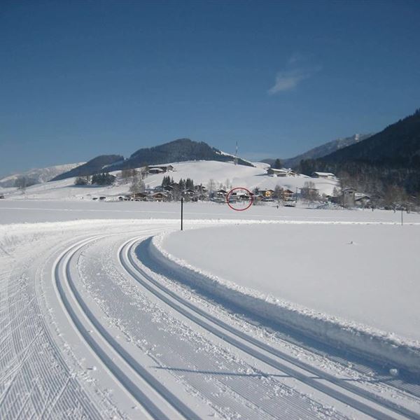 Loipe mit Blick auf unser Haus