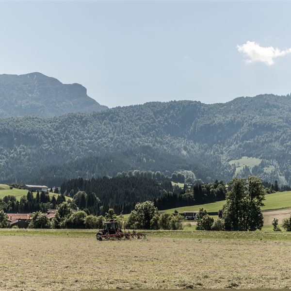 Naturnah - Den Sommer im Riedl erleben