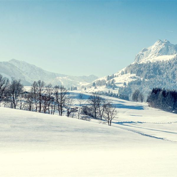 Naturnah - der Winter im Hotel Riedl