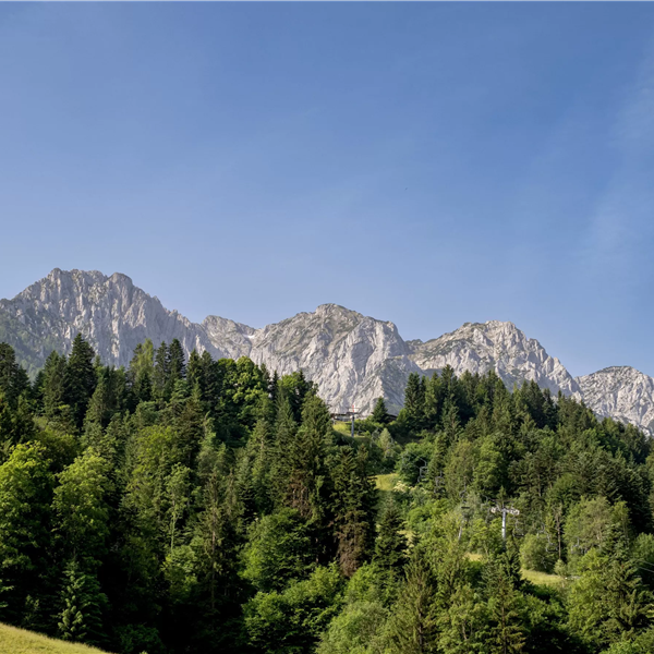 Paxerhof_Durchholzen_74_Walchsee_06_2023_Wohnung_2