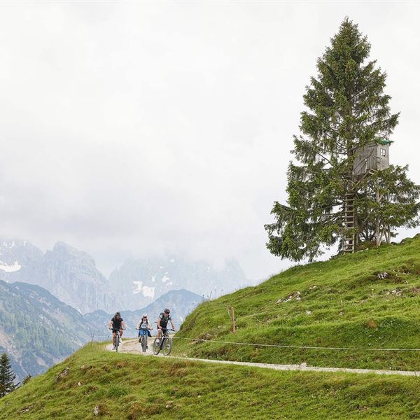 Pletzer Resorts_Das Walchsee Aktivresort_WEB-57