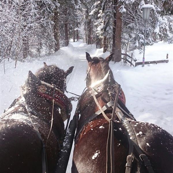 Rocky & Leo in schönster Winterlandschaft