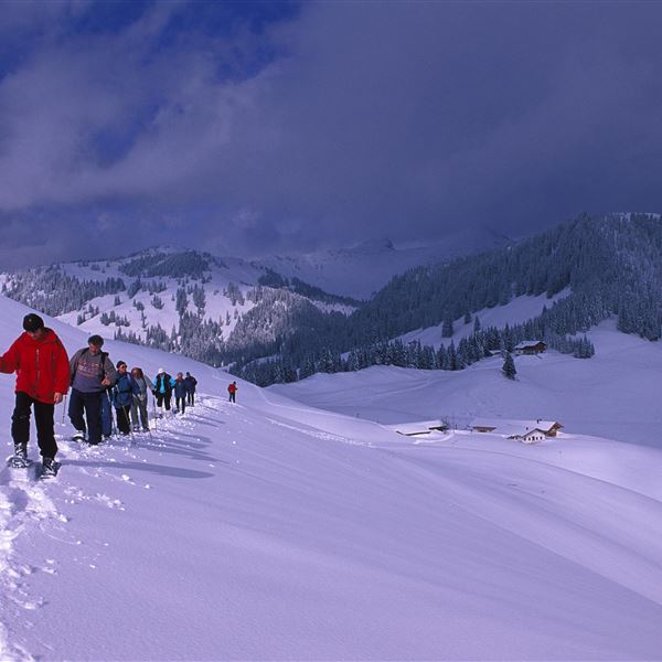 Schneeschuhgruppe mit Wandberghütte