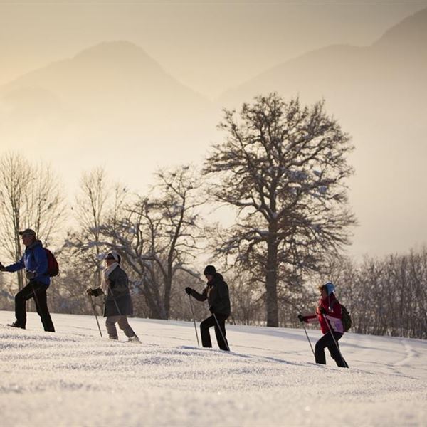 Schneeschuhwandern