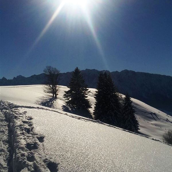 Schneeschuhwanderung