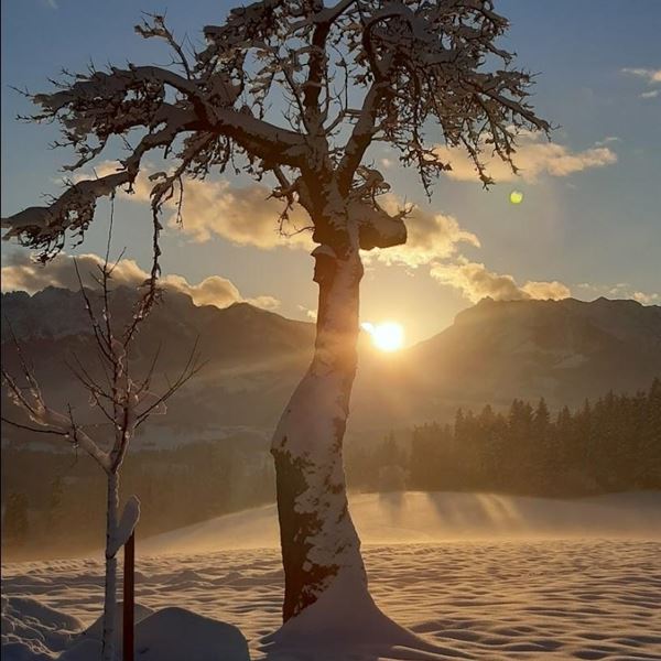 Screenshot_20221207-043244_Photos