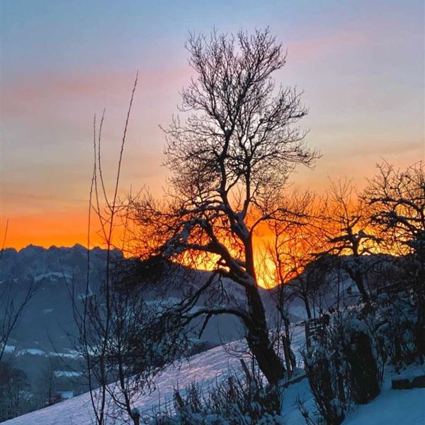 Screenshot_20221219-212115_WhatsApp