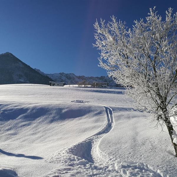 Skispur zum Chalet Glockenhof