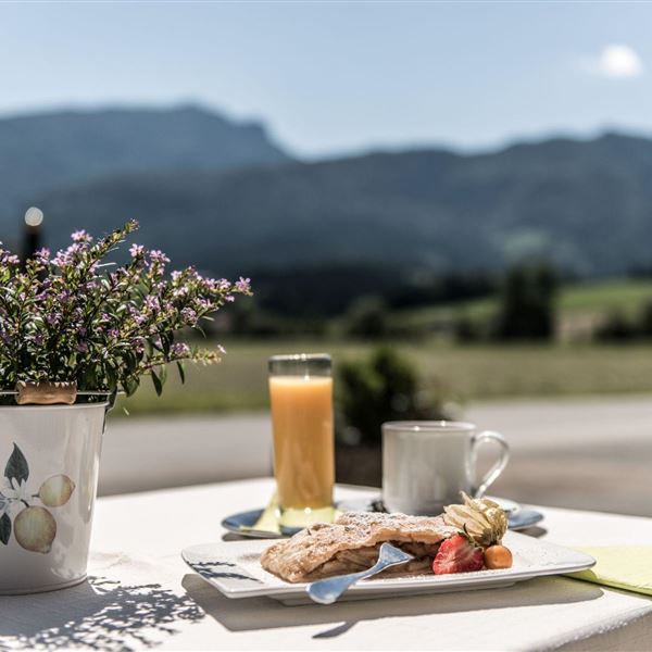 Terrasse mit Blick auf den Unterberg