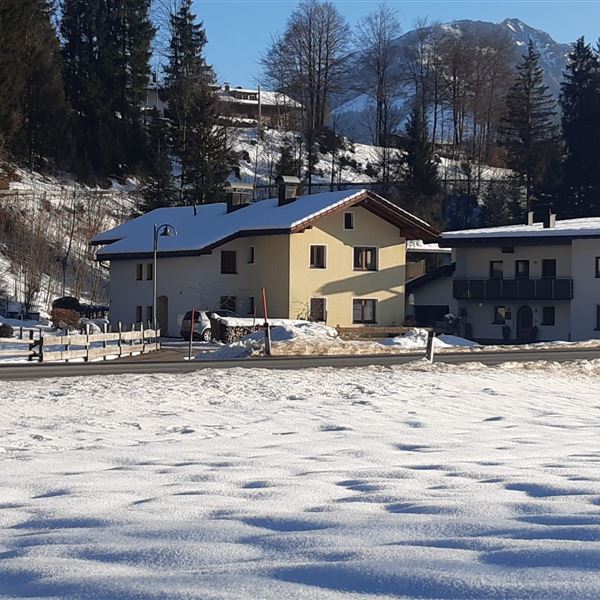 WhatsApp Image 2026-01-23 at 15.55.33